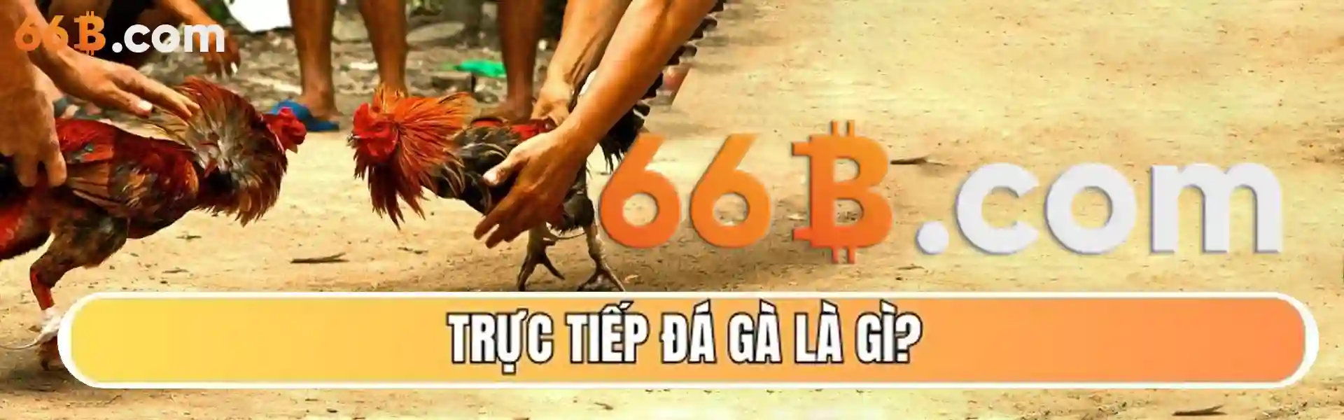 66b – Trang Chủ Chính Thức | Nhà Cái Cá Cược & Casino Đẳng Cấp Châu Á banner-66b