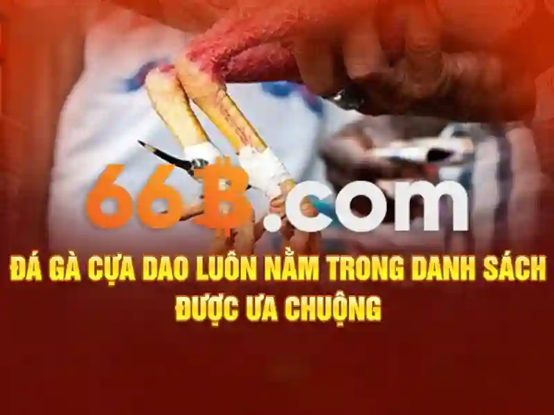 Cac kenh lien he 66b da dang tu Telegram den Livechat