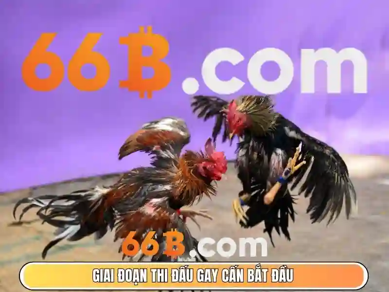 66b phan đăng lưu phú nhuận – Tổng quan chủ đề và giá trị cốt lõi