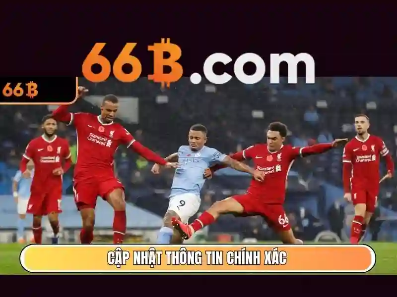 Trải nghiệm người dùng và phản hồi từ cộng đồng