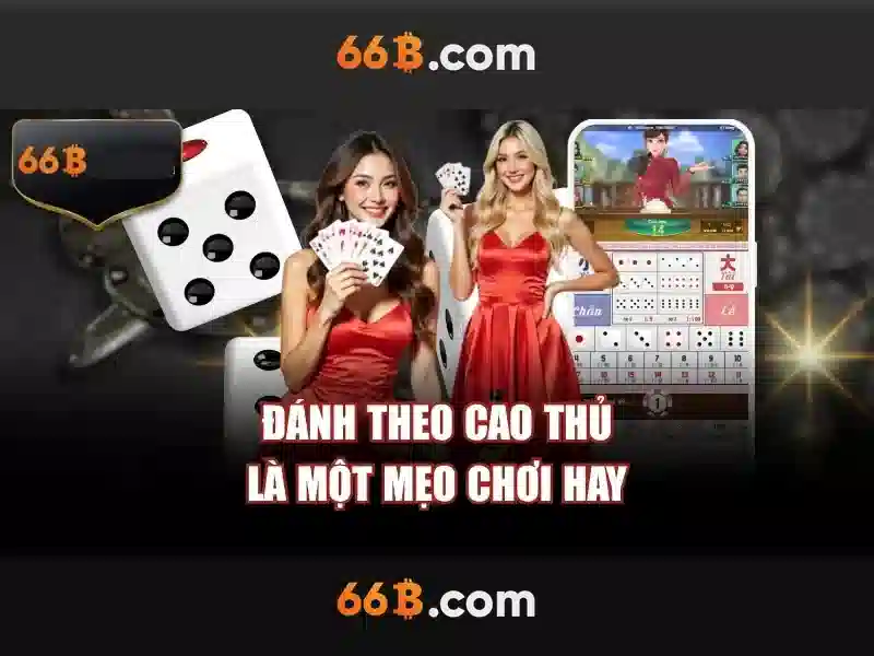 Kiến trúc và kích thước của 66b