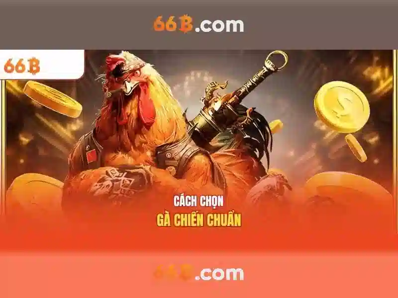 66b cập nhật – tổng quan và giá trị