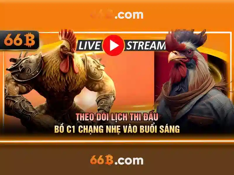 rút thưởng 66b – Tổng quan chủ đề và Giá trị cốt lõi