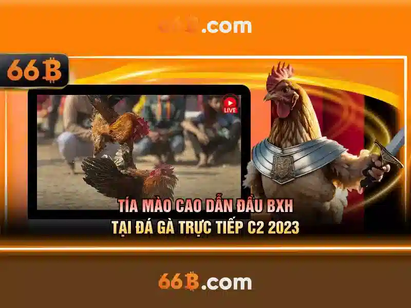 66B: Mô hình ngôn ngữ quy mô lớn