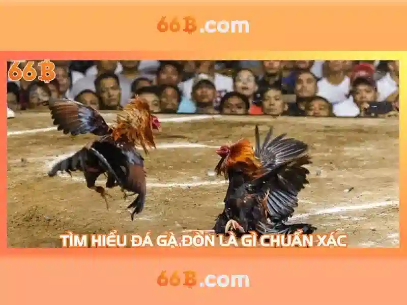 Giao diện nhà cái hoàn hảo