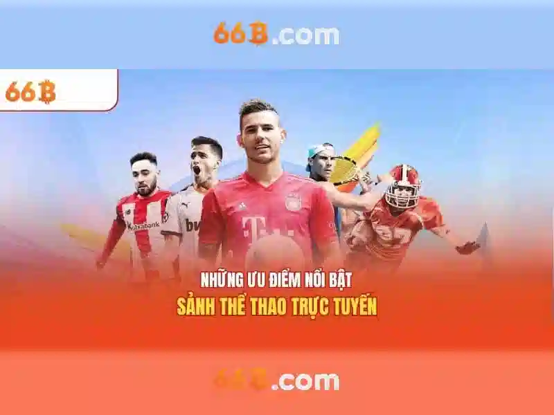 Sản phẩm và dịch vụ chính: ứng dụng của 66b it act