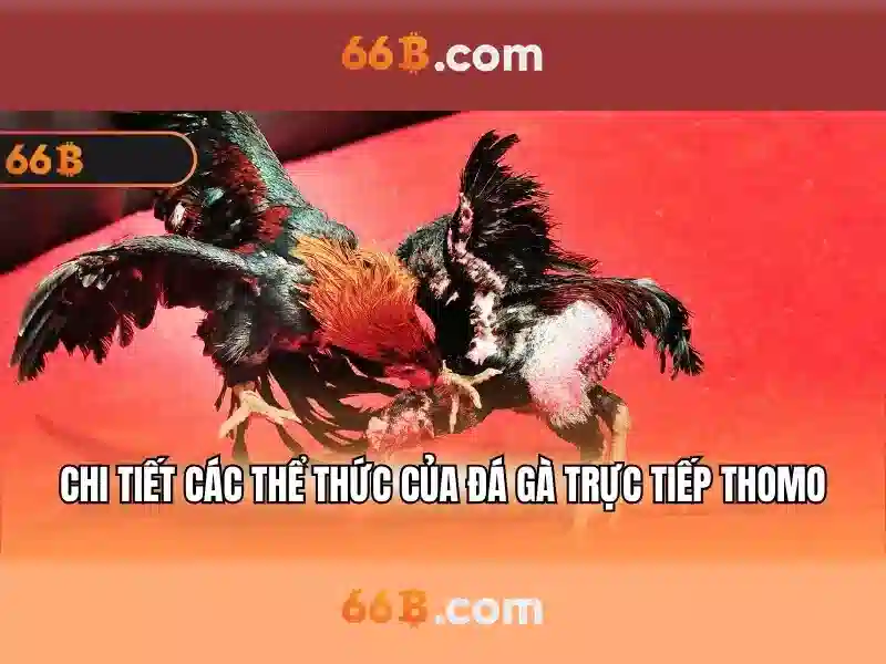 Giao diện nhà cái hoàn hảo