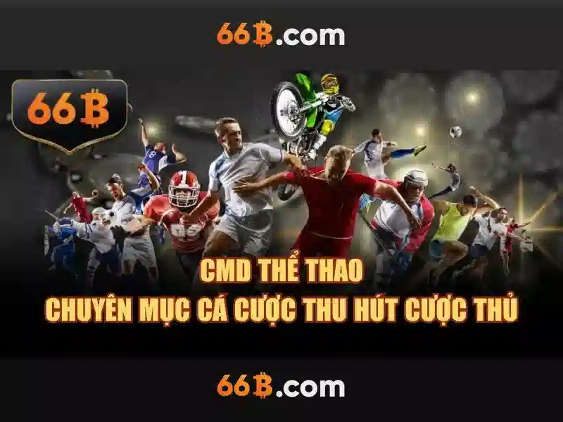 66b nguyễn sỹ sách p15 tân bình – tổng quan