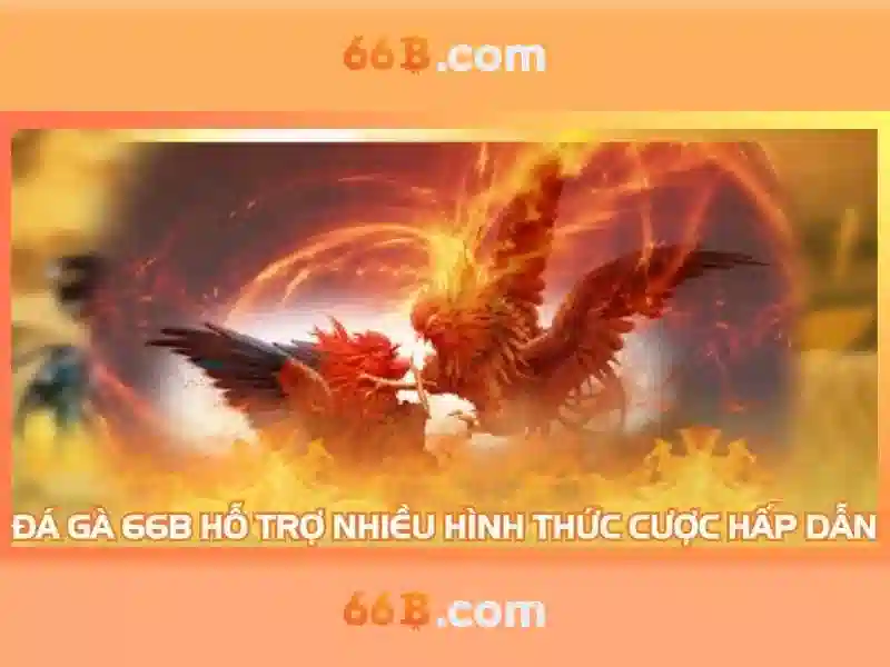 66b tặng tiền – hành trình thương hiệu và ứng dụng thực tiễn