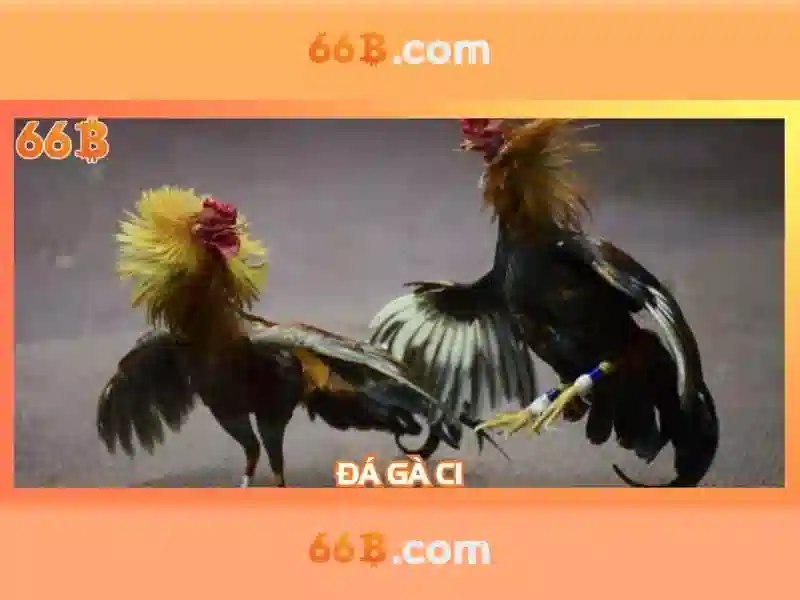 Giao diện nhà cái hoàn hảo