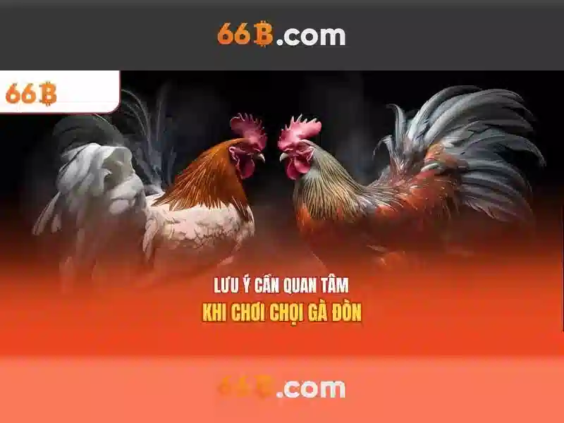 tài xỉu 66b – tổng quan chủ đề và giá trị cốt lõi