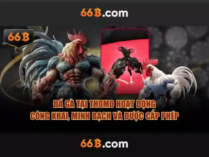 66B: Nhìn nhận tổng quan về mô hình ngôn ngữ 66 tỷ tham số