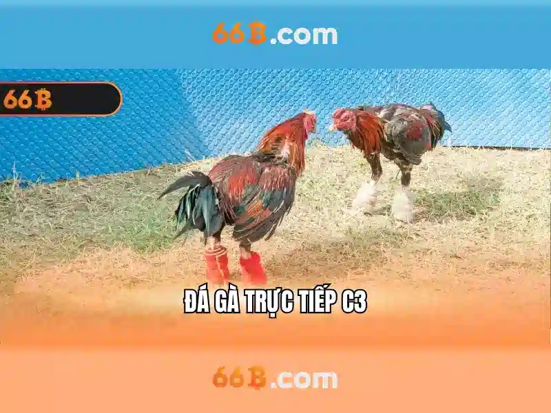 Cấu trúc và tham số