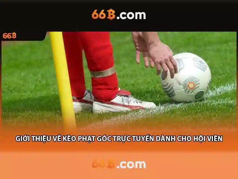 66b triều khúc: hành trình thương hiệu và trải nghiệm Giao diện nhà cái hoàn hảo