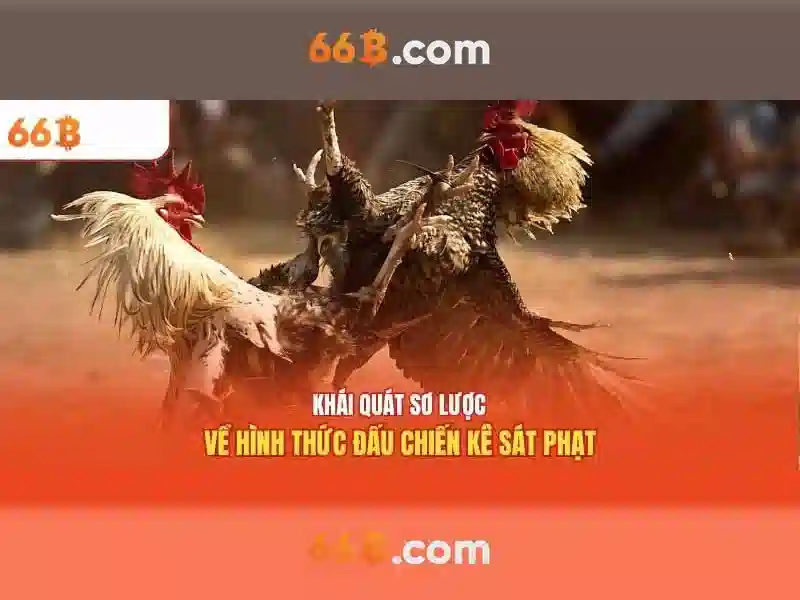 66b nguyễn sỹ sách trường con và hành trình số hóa giáo dục