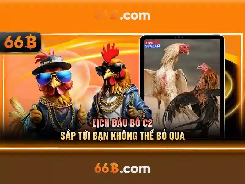 Giao diện nhà cái hoàn hảo