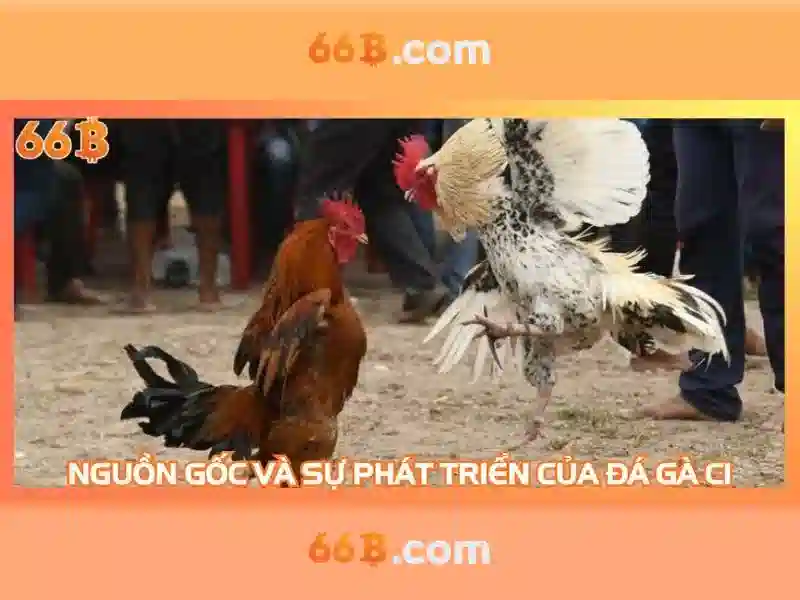 66b bị chặn – Hành trình và ứng dụng thương hiệu