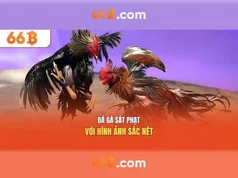 66b và những gì nó đại diện