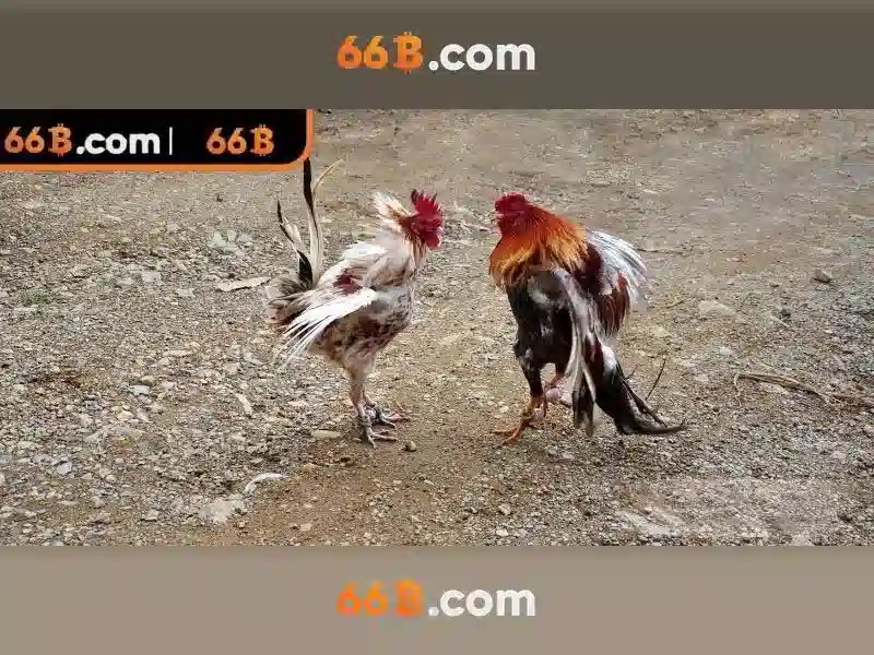 66b: Mô hình ngôn ngữ 66 tỷ tham số và tiềm năng