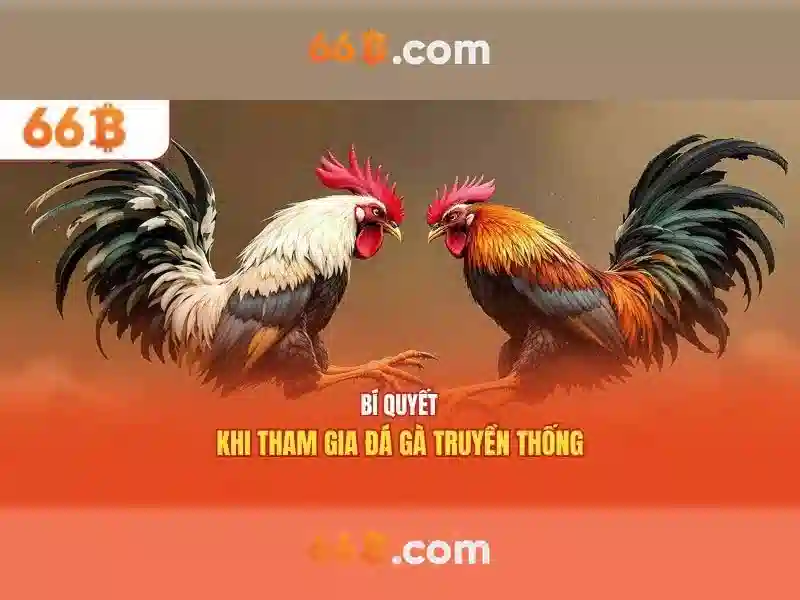 Hiệu suất và ứng dụng