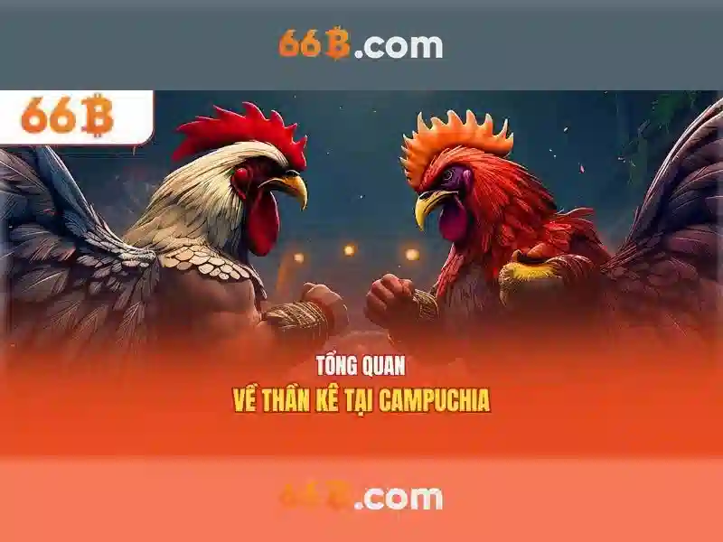 Giao diện nhà cái hoàn hảo
