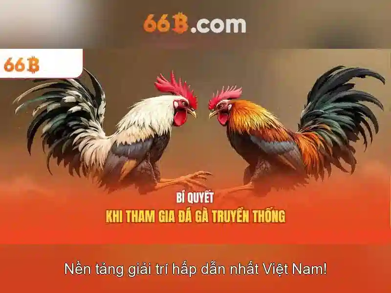Ứng dụng và thách thức