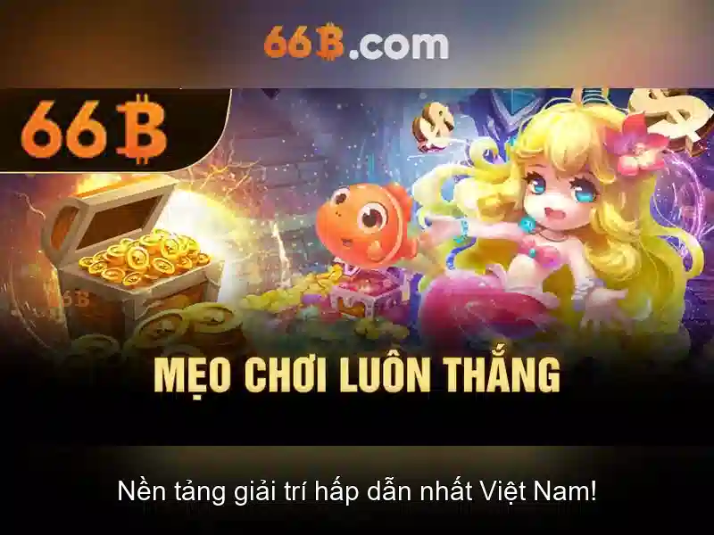 66b là gì