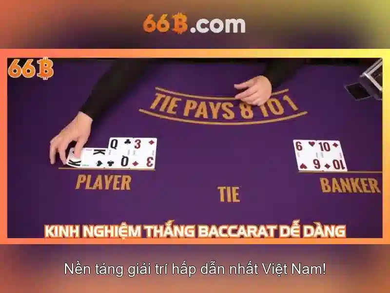 66b là gì