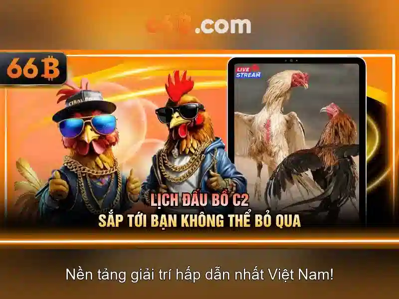 66b trong các lĩnh vực khác