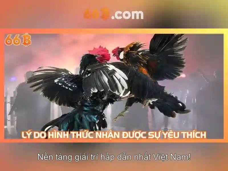 66B: Khám phá và ứng dụng của mô hình trí tuệ nhân tạo 66B