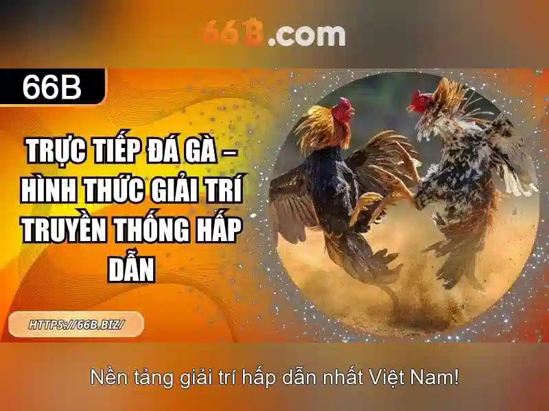 Nguồn gốc và ý nghĩa của 66b