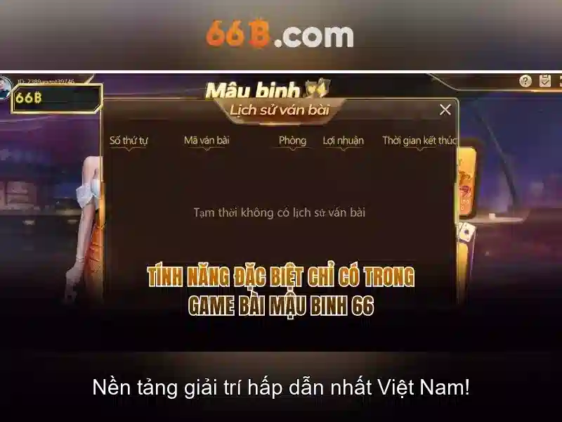 66B: Khái niệm và quy mô