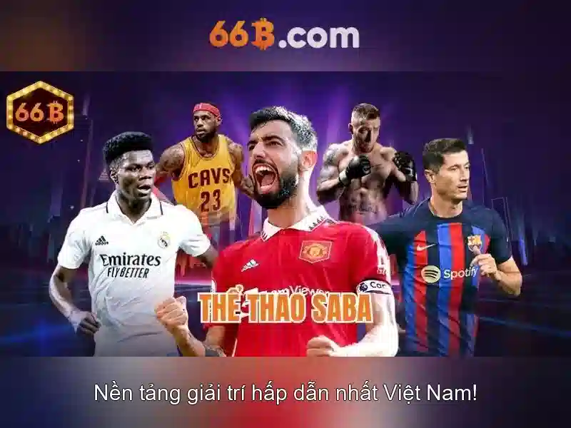 Tổng quan về 66B