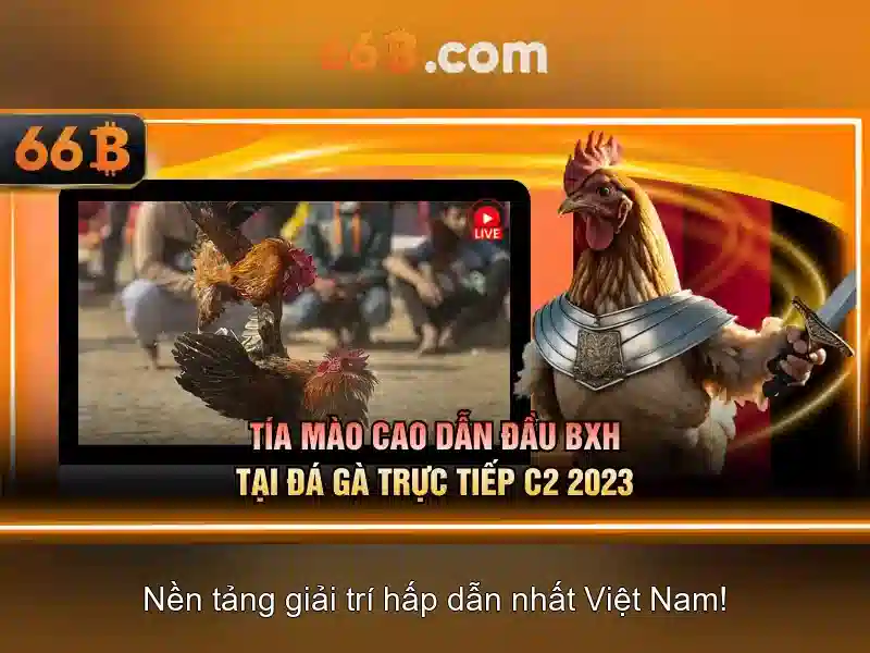 66b: bí mật và tiềm năng