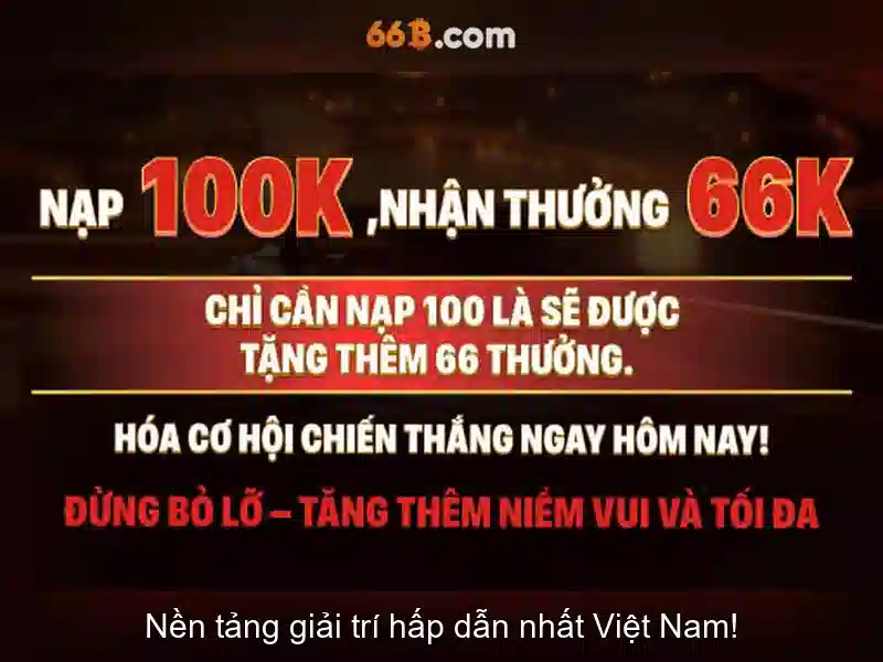 66B là gì