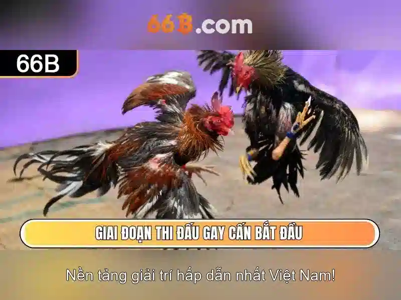 Giao diện nhà cái hoàn hảo
