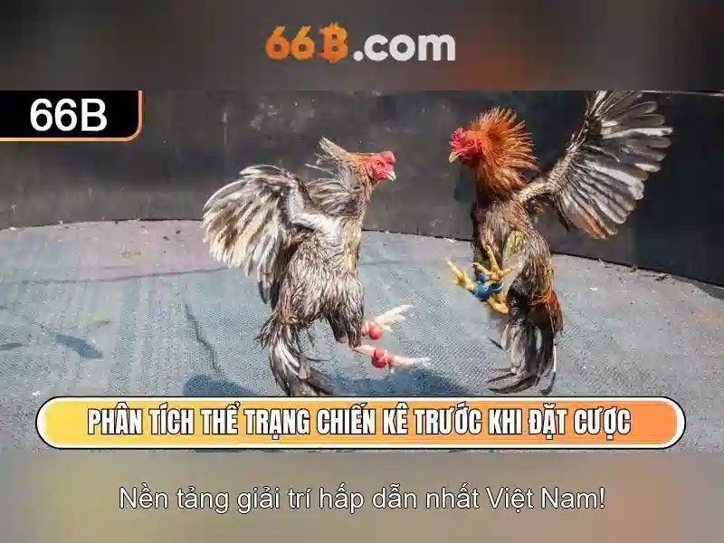 Giao diện nhà cái hoàn hảo