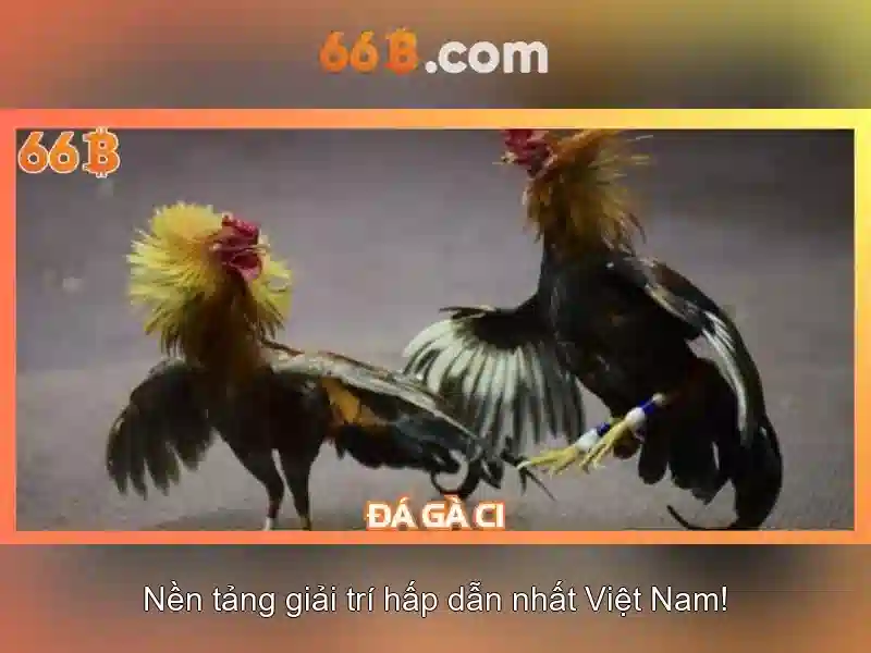 So sánh với các mô hình khác