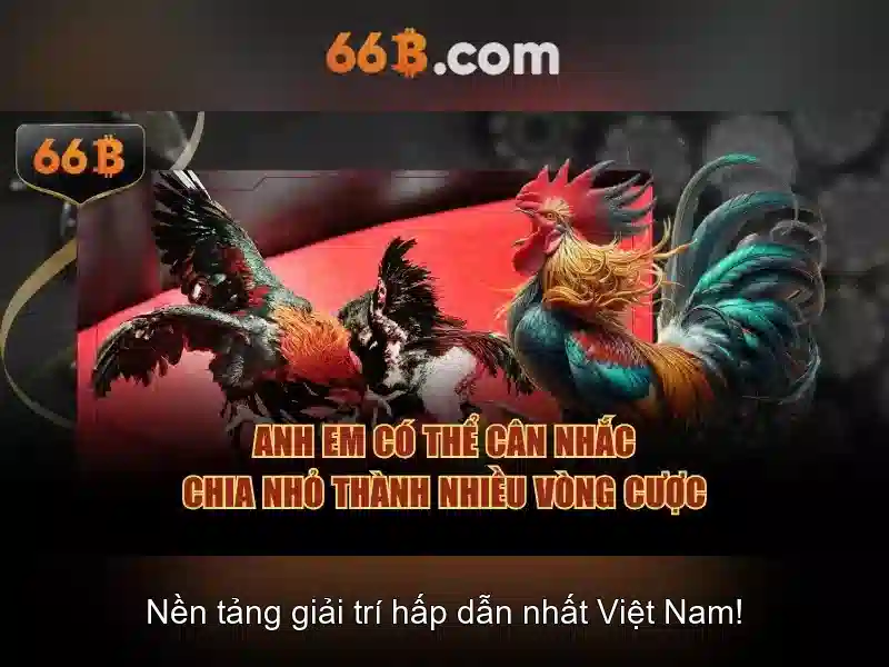 Giao diện nhà cái hoàn hảo