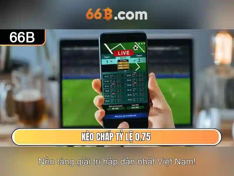 Khái niệm về mô hình 66b