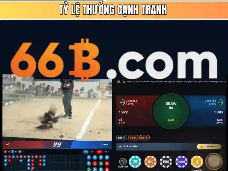 66b là gì?