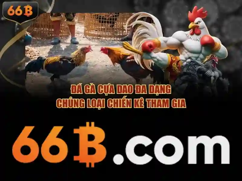 66b trong văn hóa, khoa học và công nghệ