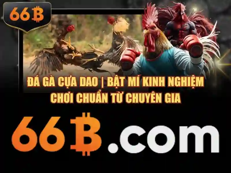 Vai trò trong lực lượng và tiến bộ tương lai