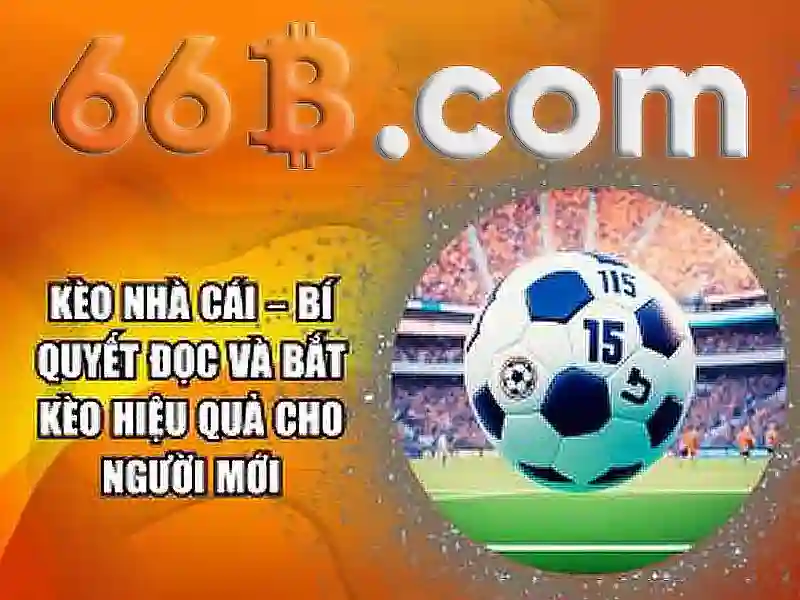 nhà cái 66b – trải nghiệm cao cấp Giao diện nhà cái hoàn hảo