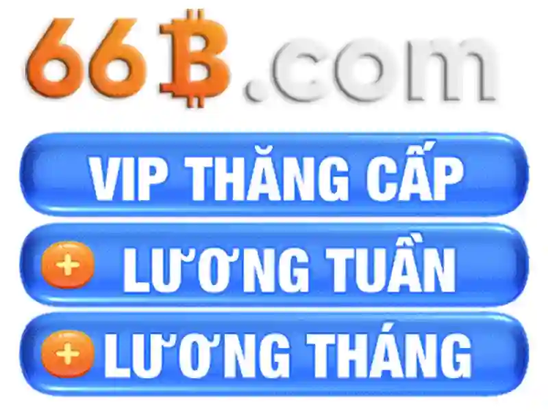 66b quang trung hải dương: Định hình trải nghiệm và giá trị thương hiệu