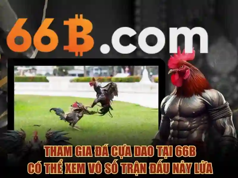 Giao diện nhà cái hoàn hảo