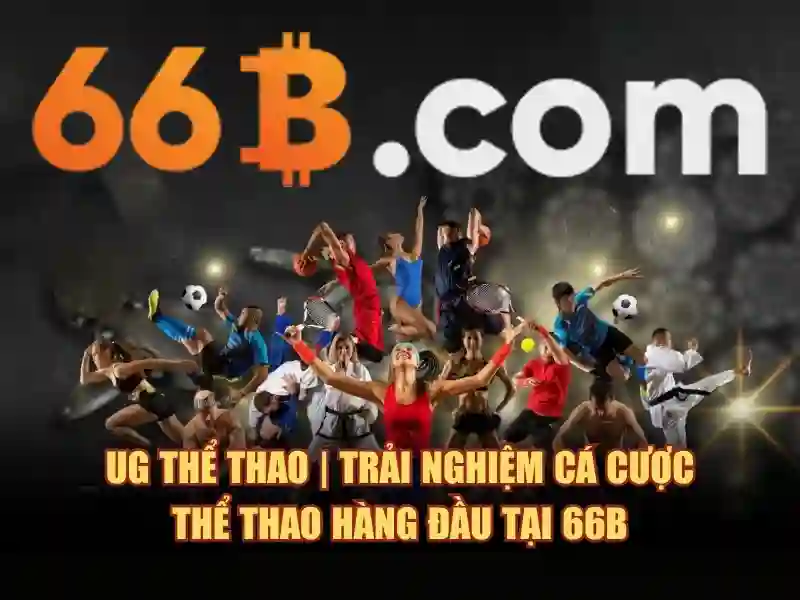 Khái niệm cơ bản về 66b