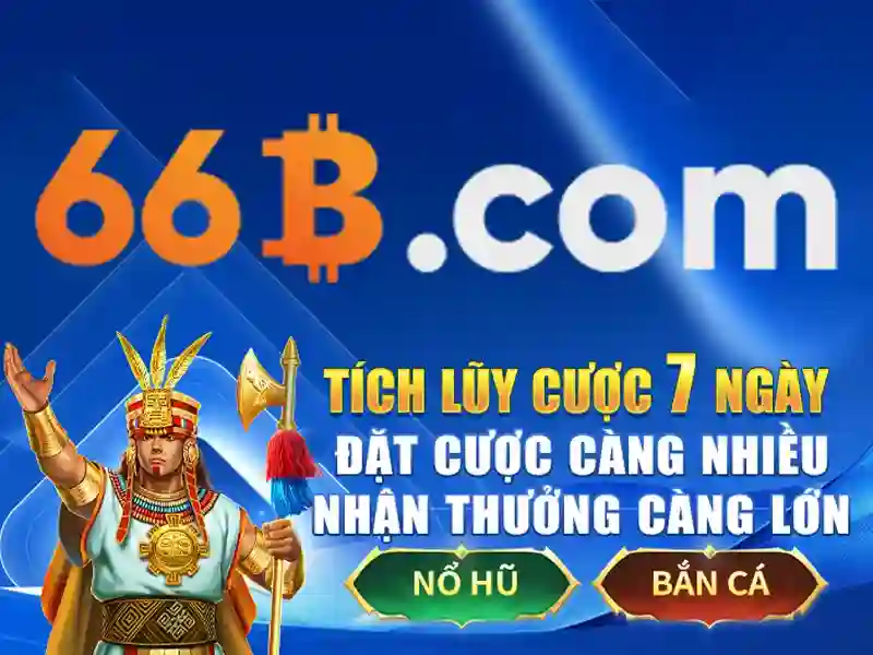 66b có giấy phép không – tổng quan và giá trị