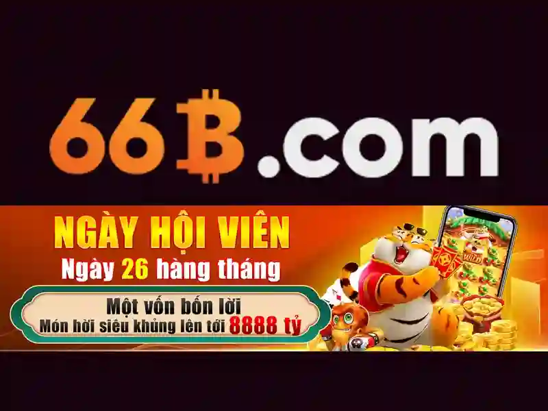 66b of the b - Câu chuyện thương hiệu và ứng dụng