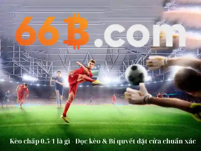 Kiến trúc của 66b